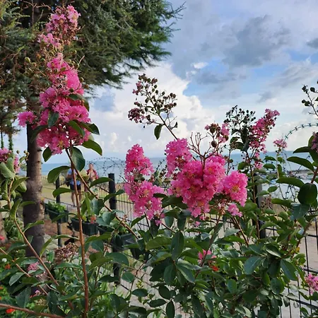 Uchvatny Vyhled Na *