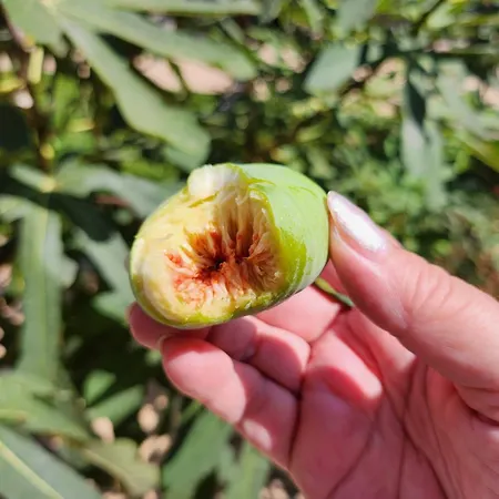 Uchvatny Vyhled Na *