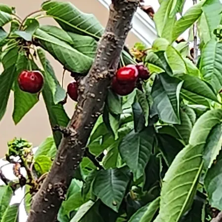 Apartament Uchvatny Vyhled Na