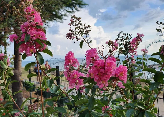 úchvatný Výhled Na Moře *