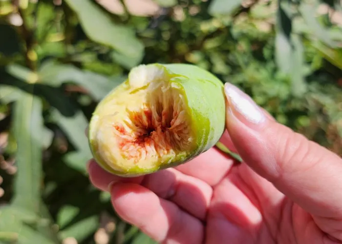 úchvatný Výhled Na Moře *