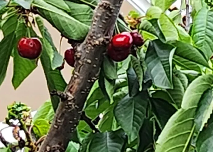 Apartmán úchvatný Výhled Na Moře